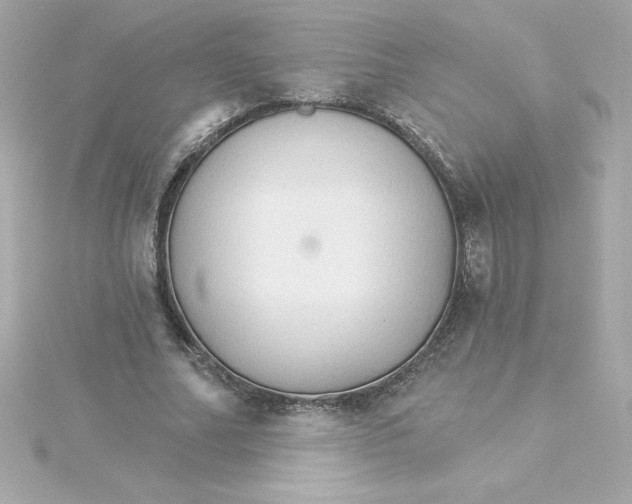 X0000115270682200911271946