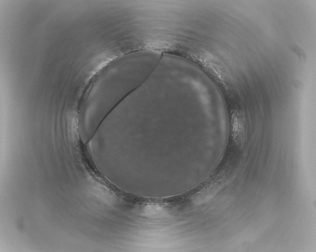 X0000115270684200911271946