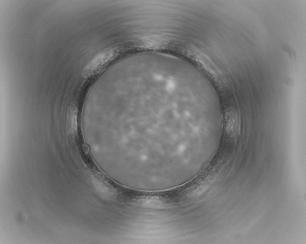 X0000115270685200911271946