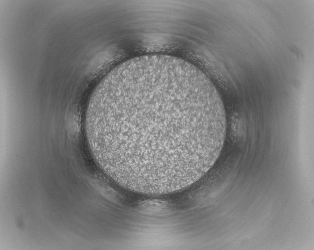 X0000115270691200911271946