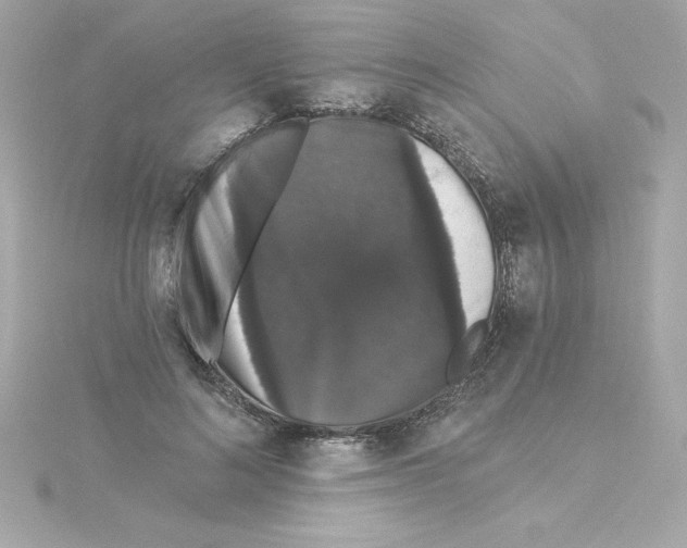 X0000115270692200911271946