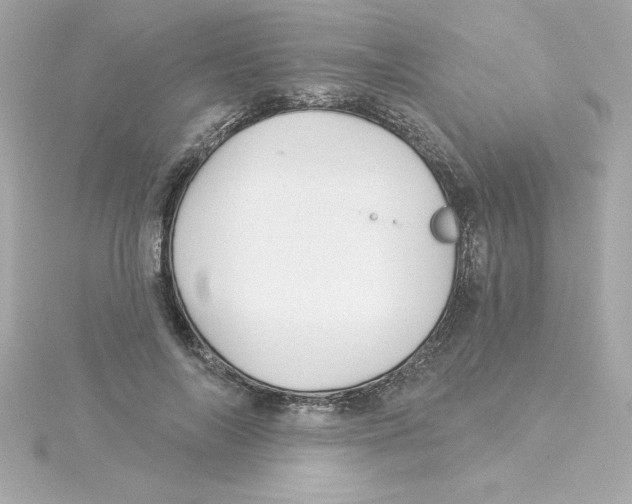 X0000115270694200911271946