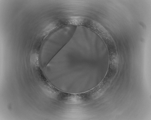 X0000115270696200911271946