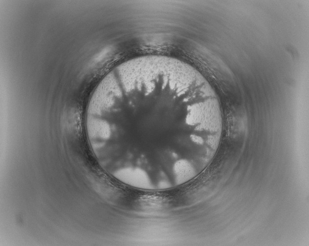 X0000115270699200911271946