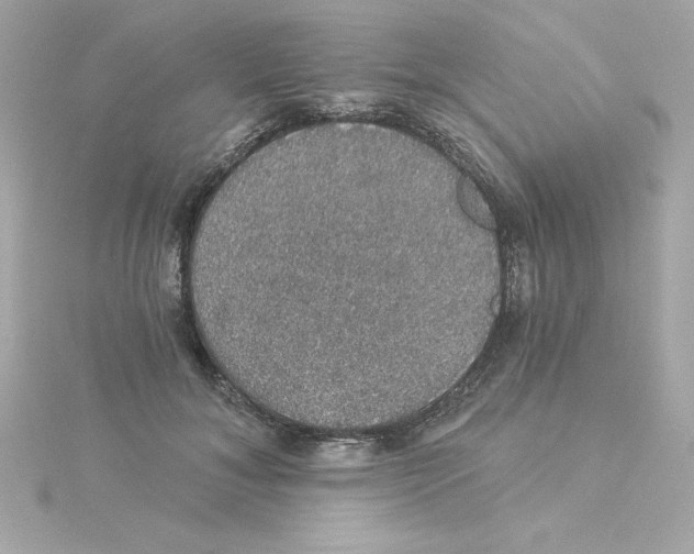 X0000115270700200911271946