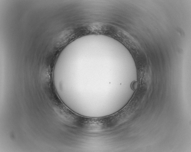 X0000115270702200911271946