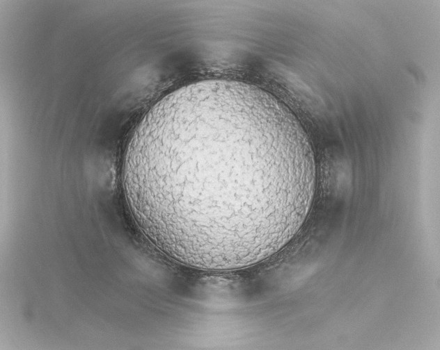 X0000115270703200911271946