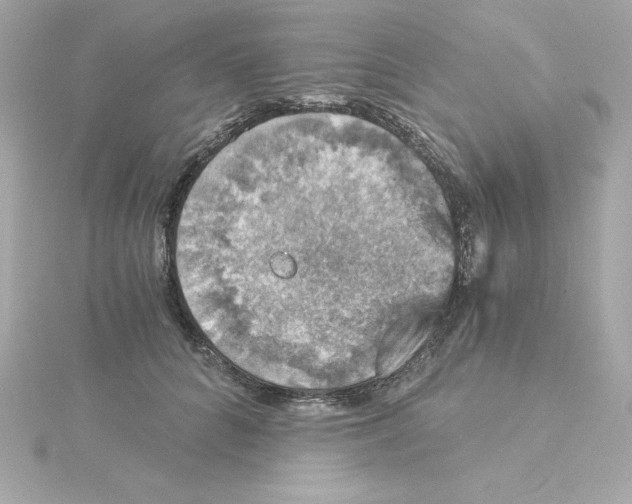 X0000115270704200911271946