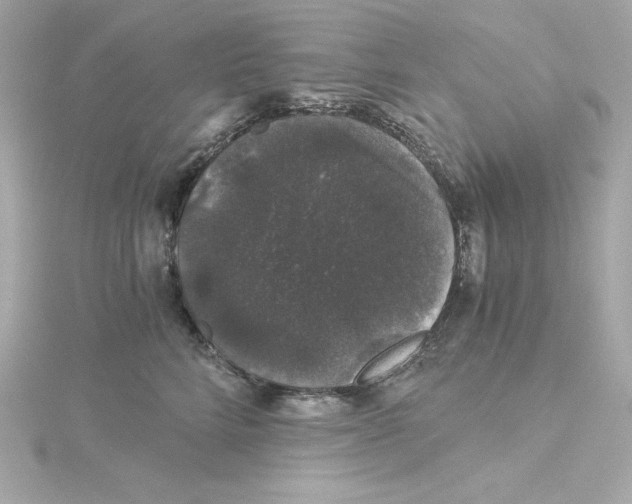 X0000115270712200911271945