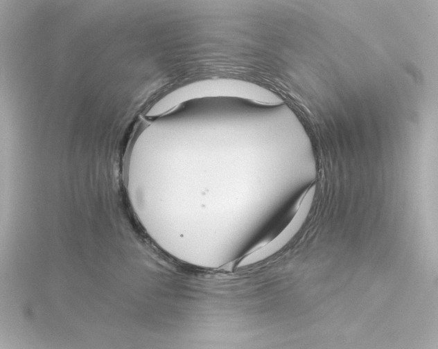 X0000115270716200911271945