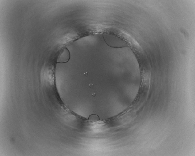 X0000115270719200911271945