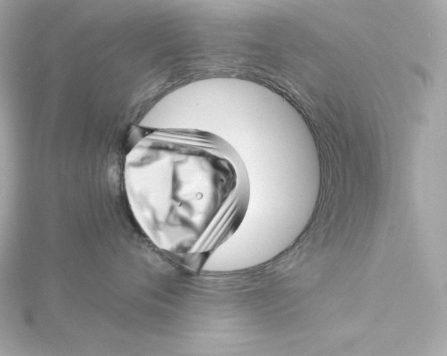 X0000115270720200911271945