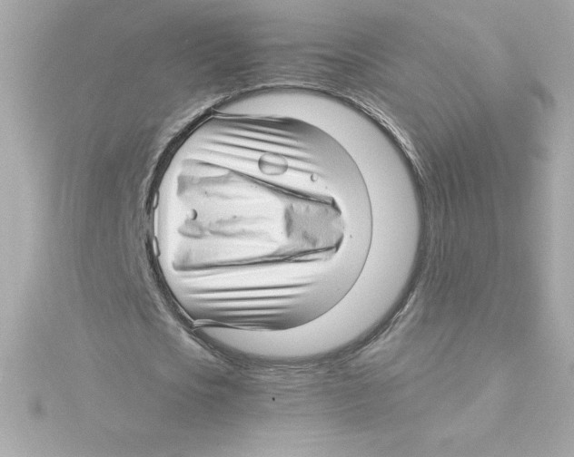 X0000115270721200911271945