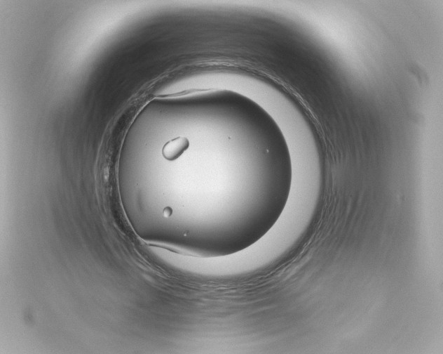 X0000115270723200911271945