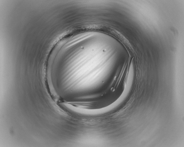 X0000115270725200911271945