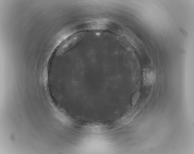 X0000115270726200911271945