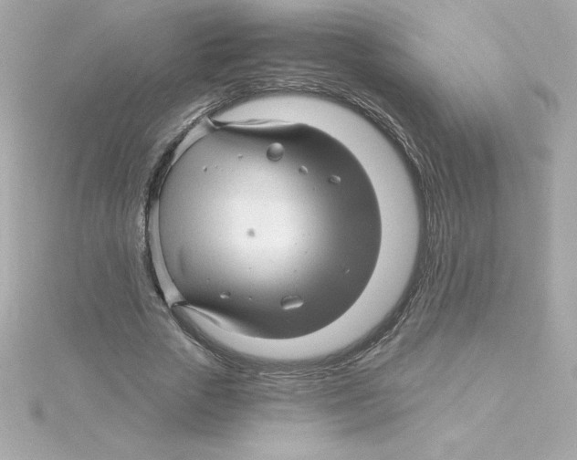 X0000115270729200911271945