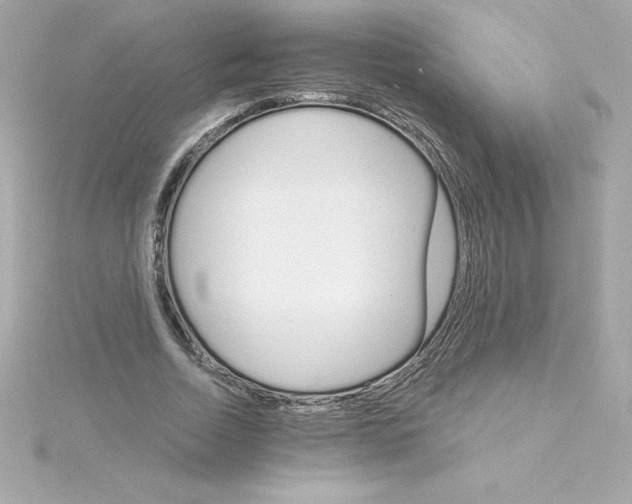 X0000115270730200911271945