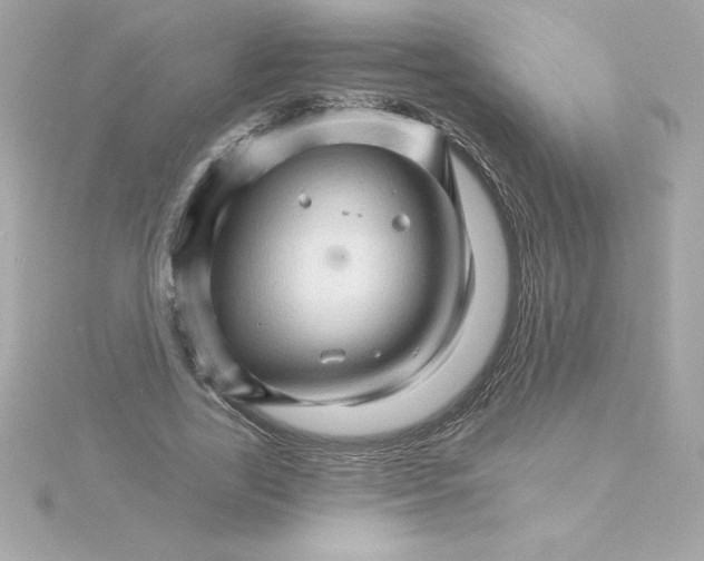 X0000115270731200911271945