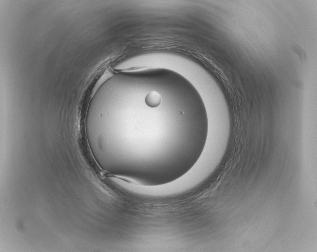 X0000115270733200911271945