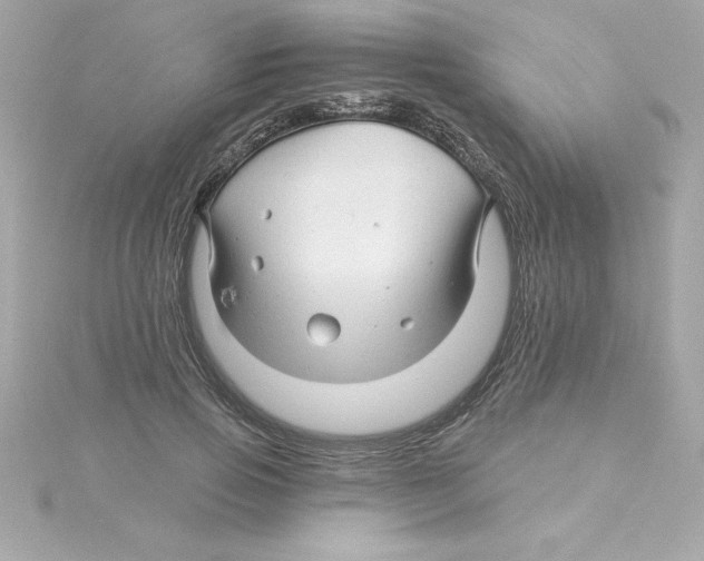 X0000115270741200911271945