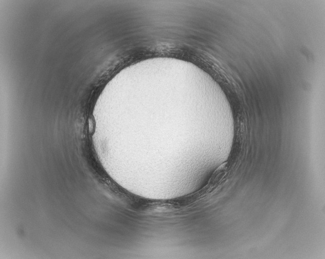 X0000115270750200911271945