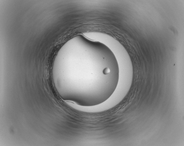 X0000115270751200911271945