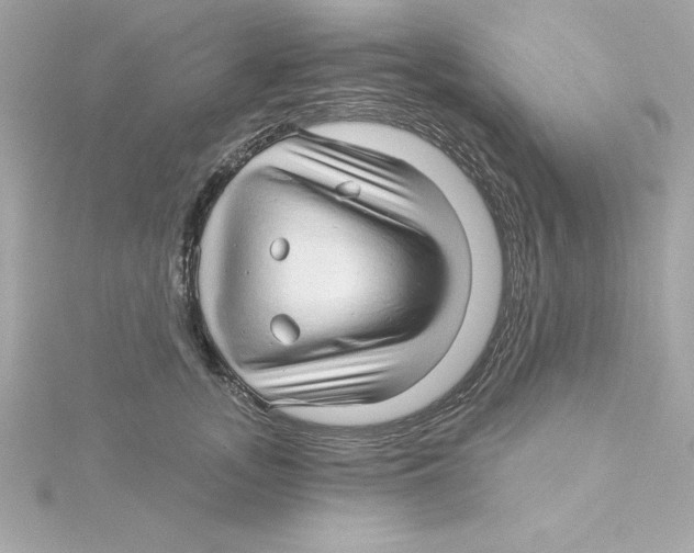 X0000115270755200911271945