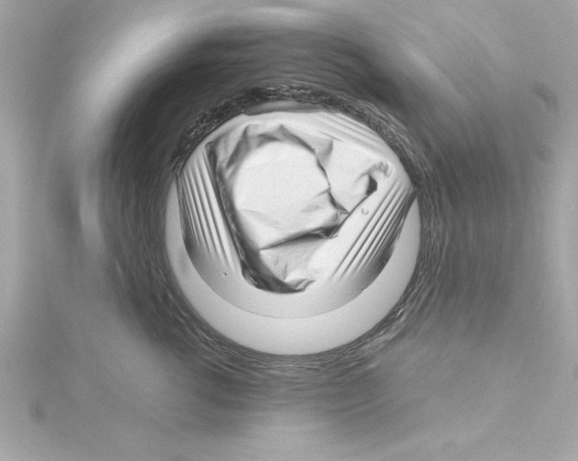 X0000115270762200911271945