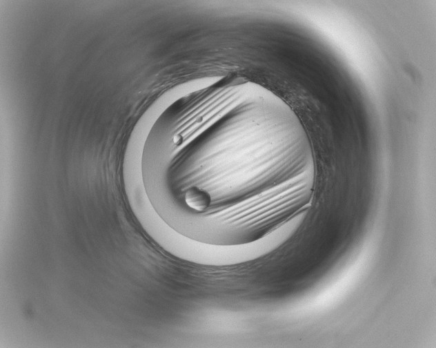 X0000115270767200911271945