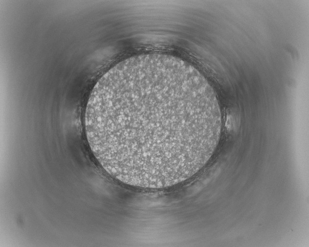 X0000115270771200911271945