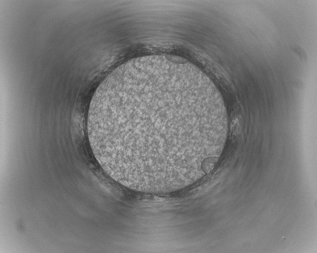 X0000115270772200911271945