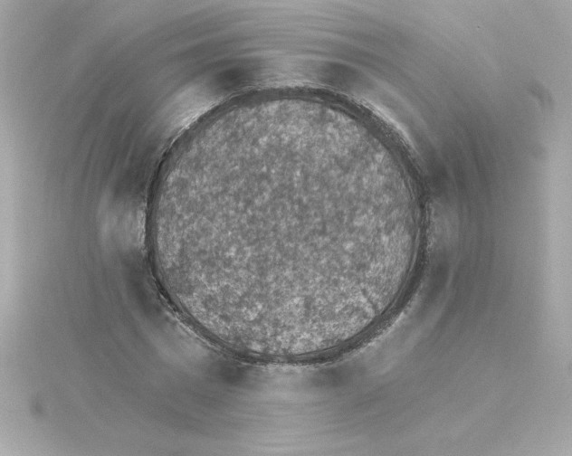 X0000115270777200911271945