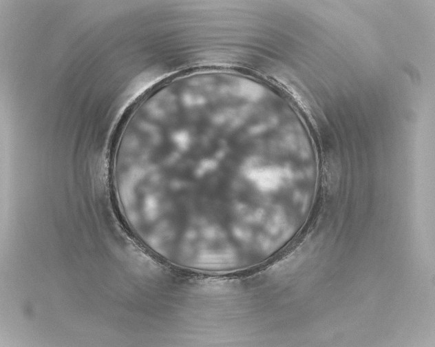 X0000115270779200911271945