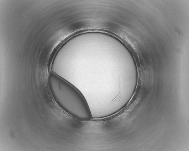 X0000115270781200911271945