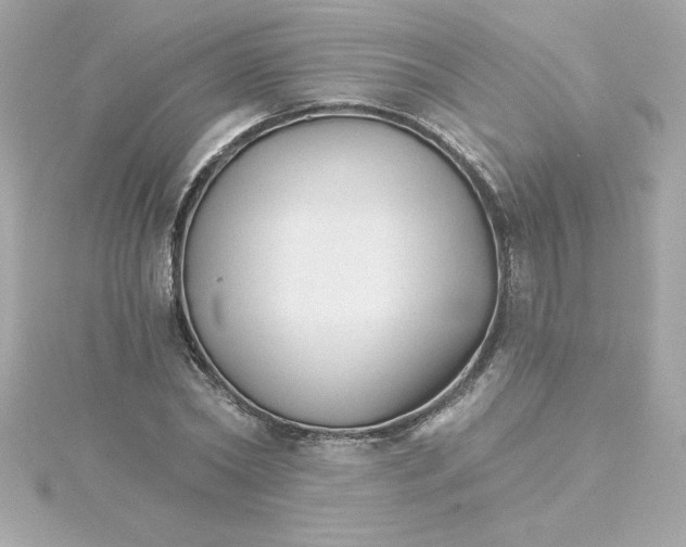 X0000115270782200911271945