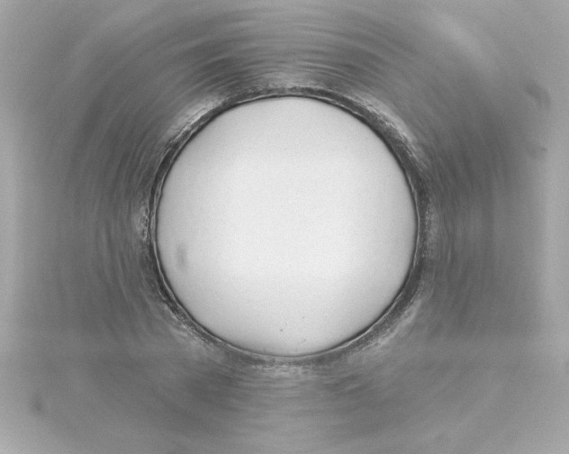 X0000115270785200911271944