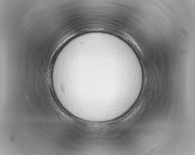 X0000115270786200911271944