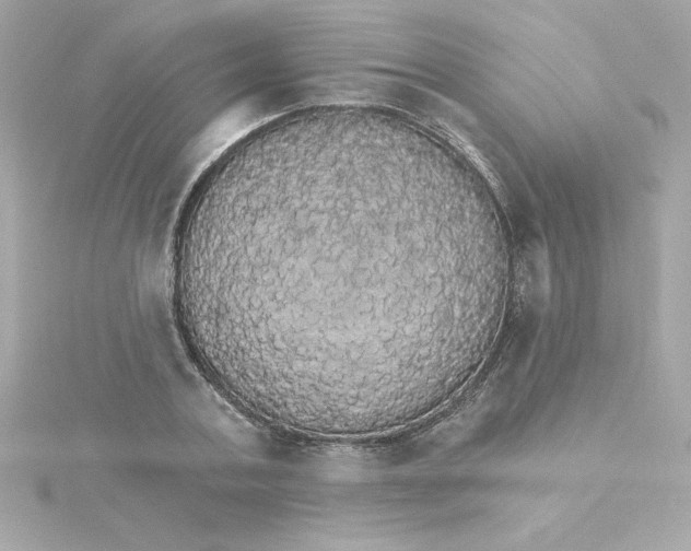 X0000115270787200911271944