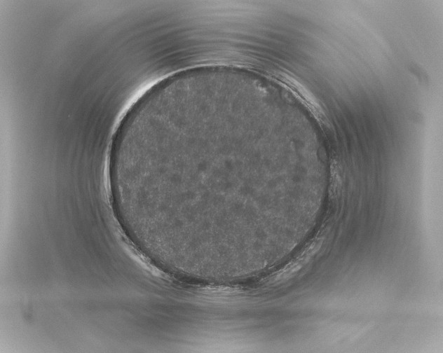 X0000115270788200911271944