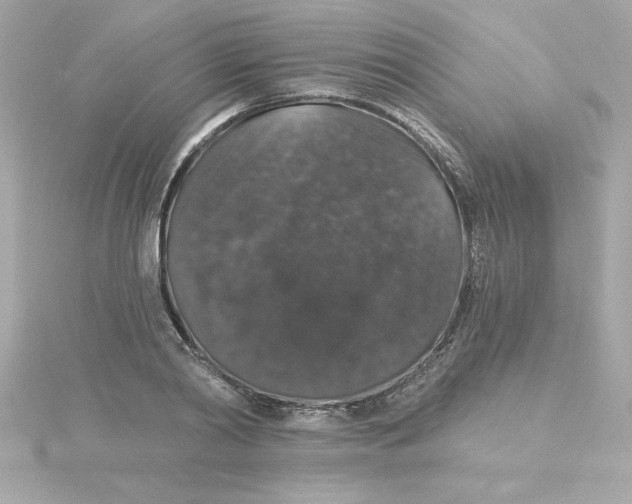 X0000115270790200911271944