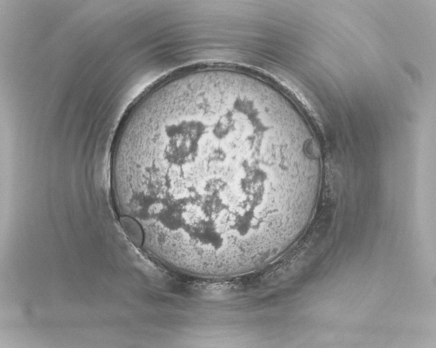 X0000115270791200911271944