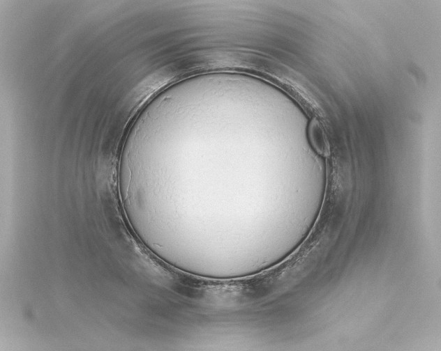 X0000115270793200911271944