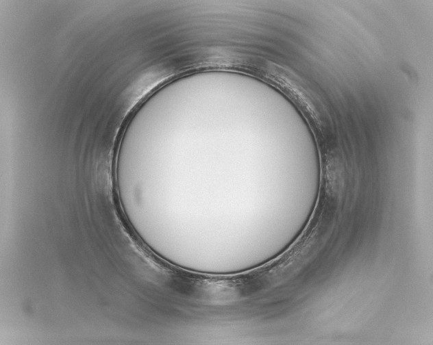 X0000115270794200911271944