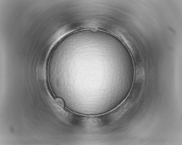 X0000115270795200911271944