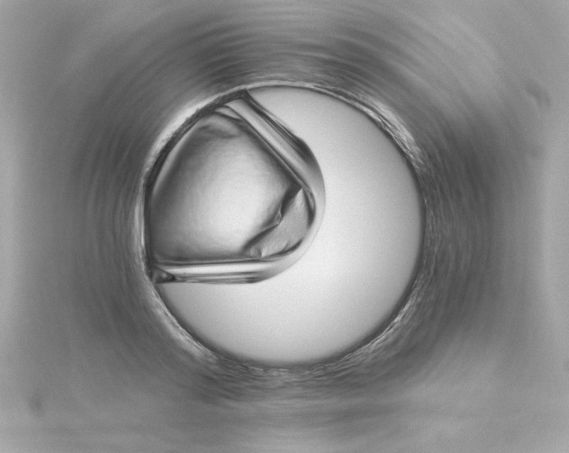 X0000115270796200911271944