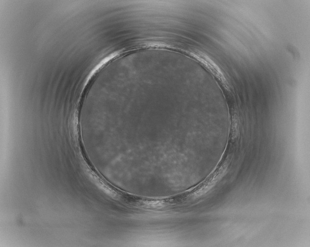 X0000115270798200911271944