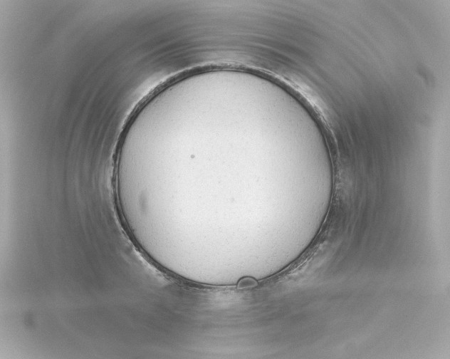 X0000115270799200911271944