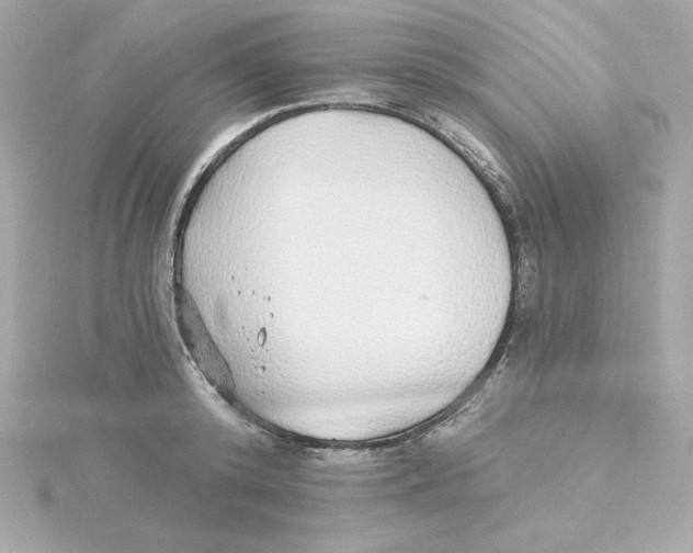 X0000115270800200911271944