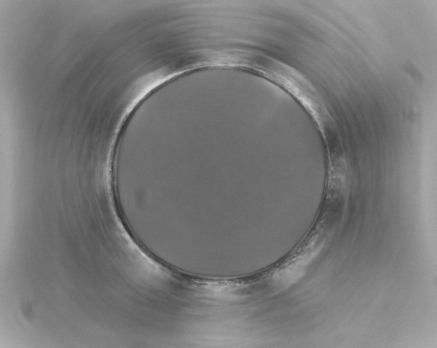 X0000115270803200911271944